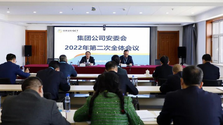 爱游戏在线(中国)集团召开安委会2022年第二次全体会议